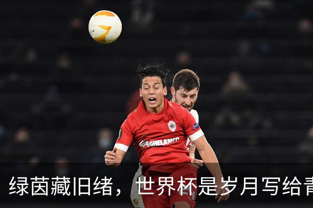 绿茵藏旧绪，世界杯是岁月写给青春的信